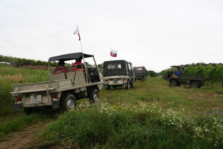 kt217