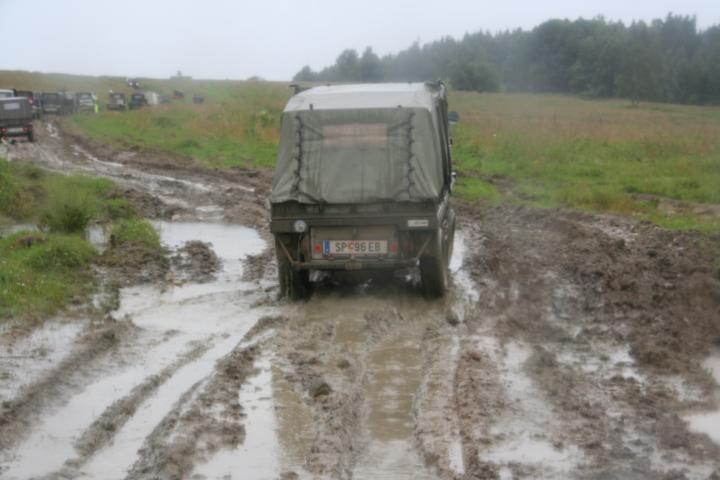 kt229