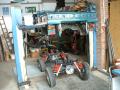haftom36
